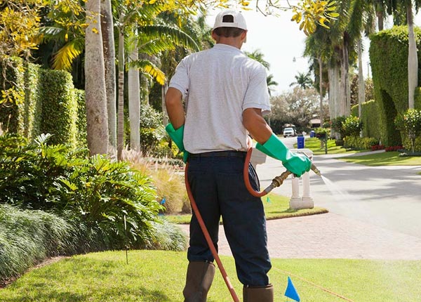 About Salem UT Pest Control Pros